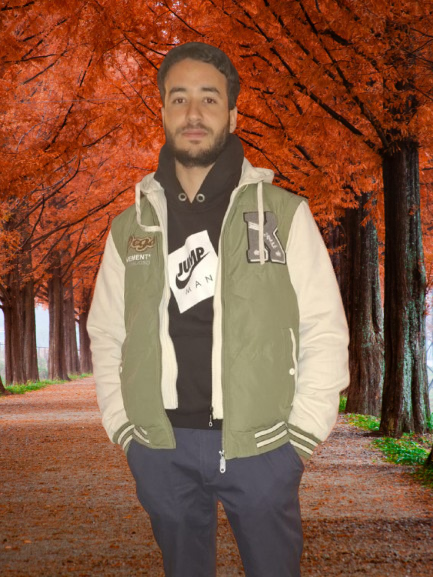 Ahmed Abidi - Full Stack Developer